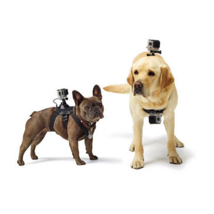 Xiaomi Pet Mount Large Yi Sport Black