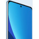 Смартфон Xiaomi 12X 12/256Gb Blue