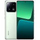 Смартфон Xiaomi 13 Pro 8/128GB Ceramic Flora Green (Global)